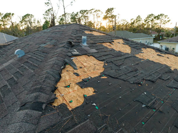 Professional Roofing Service in Philmont, NY